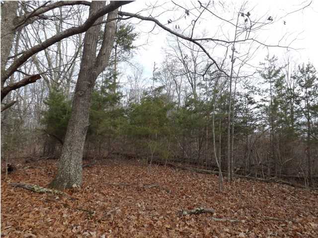 0 Torbett Road, Unit 8 AC Spring City, TN 37381 - Photo 8 of 30 Additional Photo
