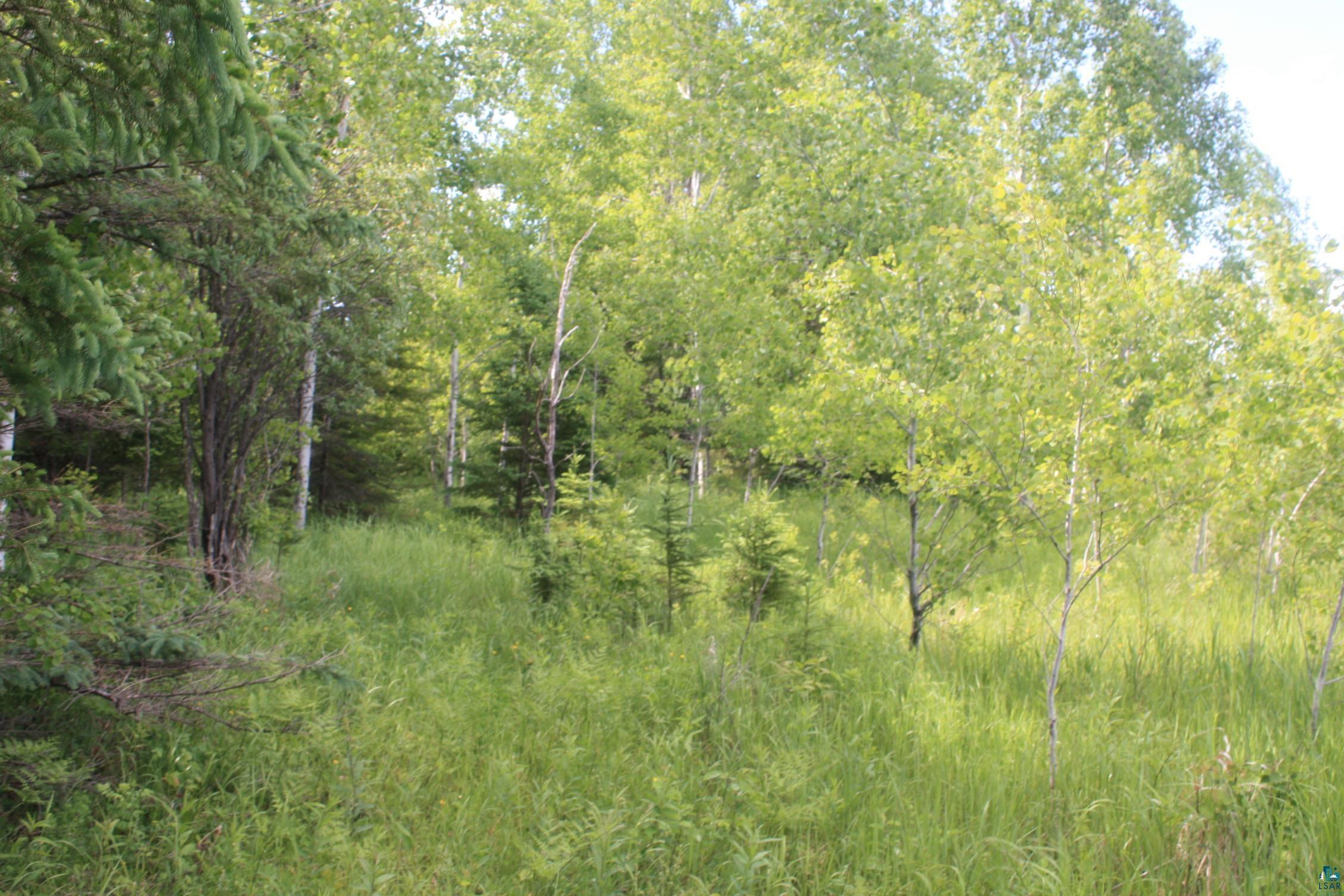 304 South X S Landala Road Maple, WI 54854 - Photo 44 of 45
