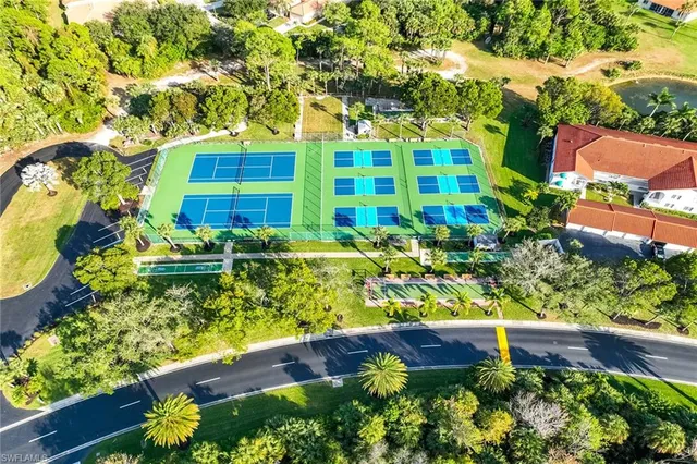 a view of a bunch of flowers