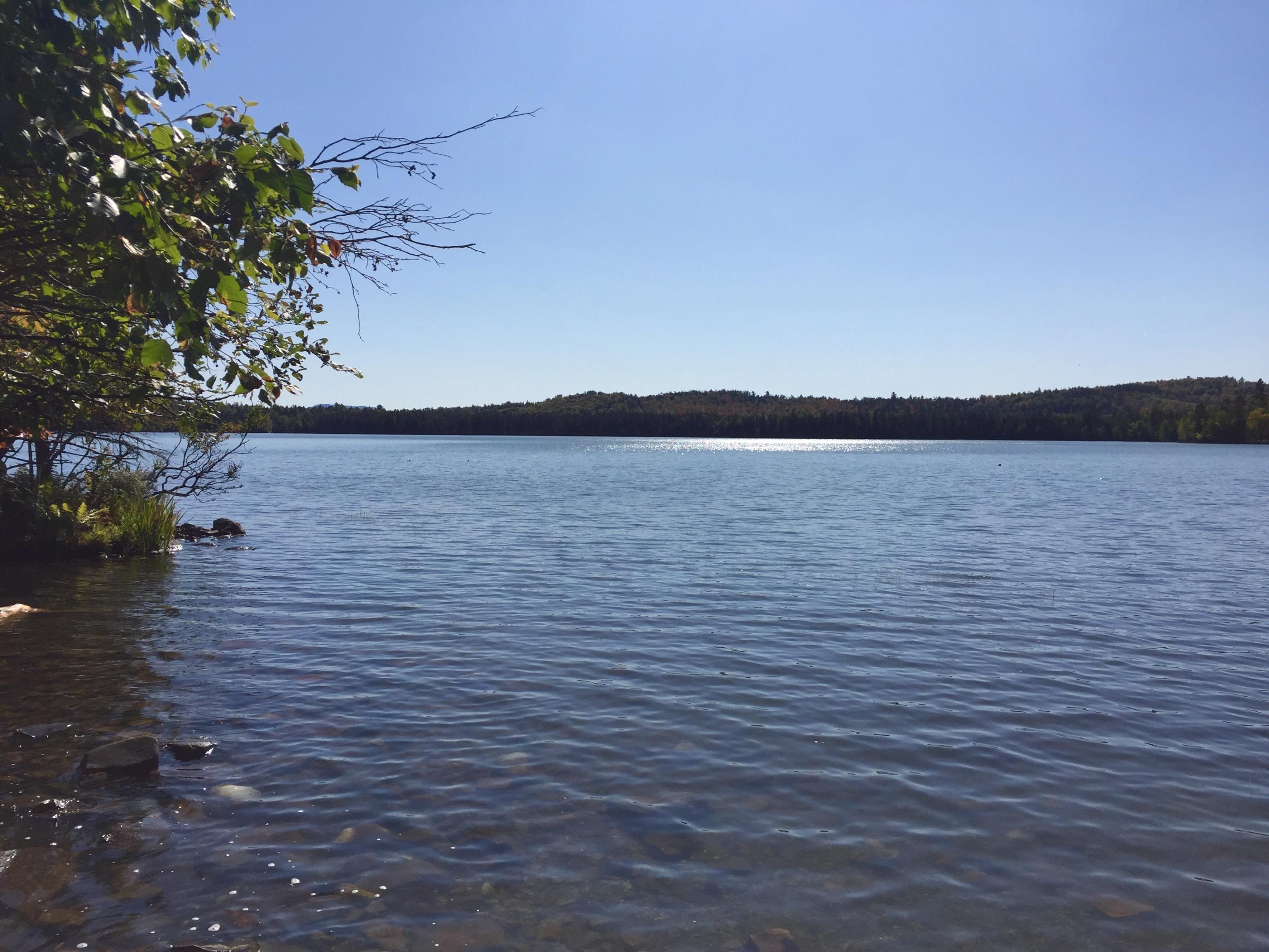 247 Quimby Pond Road Rangeley, ME 04970 - Photo 11 of 51 fullsizeoutput_87