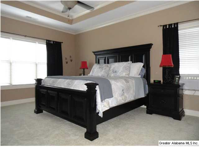 48 White Oak Circle Springville, AL 35146 - Photo 8 of 22