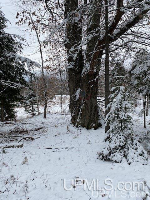Tbd Tbd Northwoods Road Marquette, MI 49855 - Photo 31 of 31