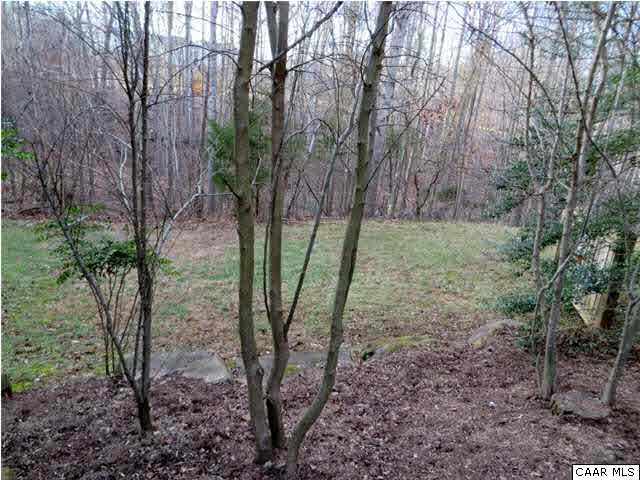 1228 Chatham Ridge Charlottesville, VA 22901 - Photo 16 of 20 a view of a forest filled with trees