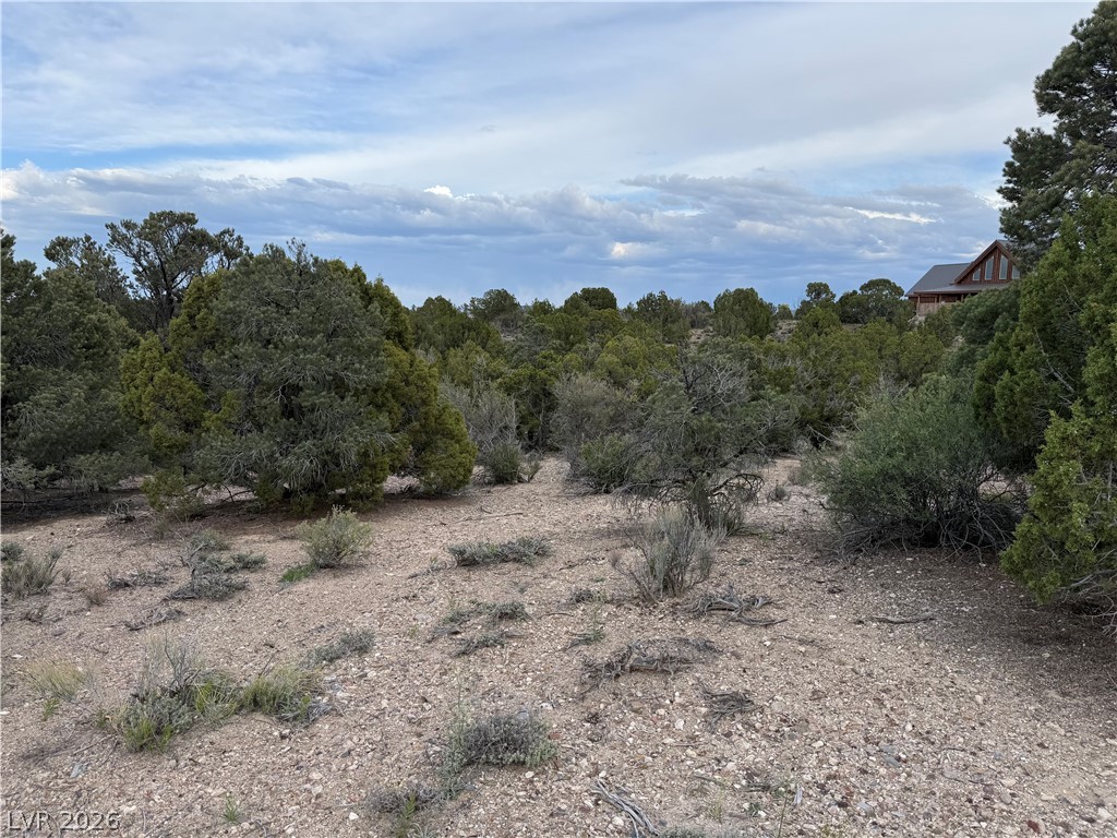 0 Timber Crest Way Pioche, NV 89043 - Photo 5 of 9