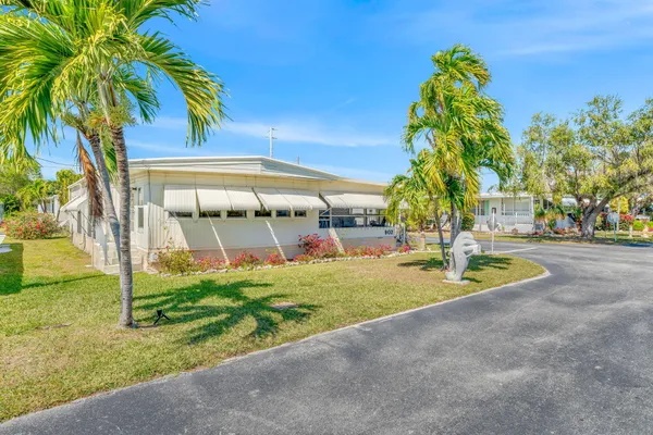 a view of a park with palm trees