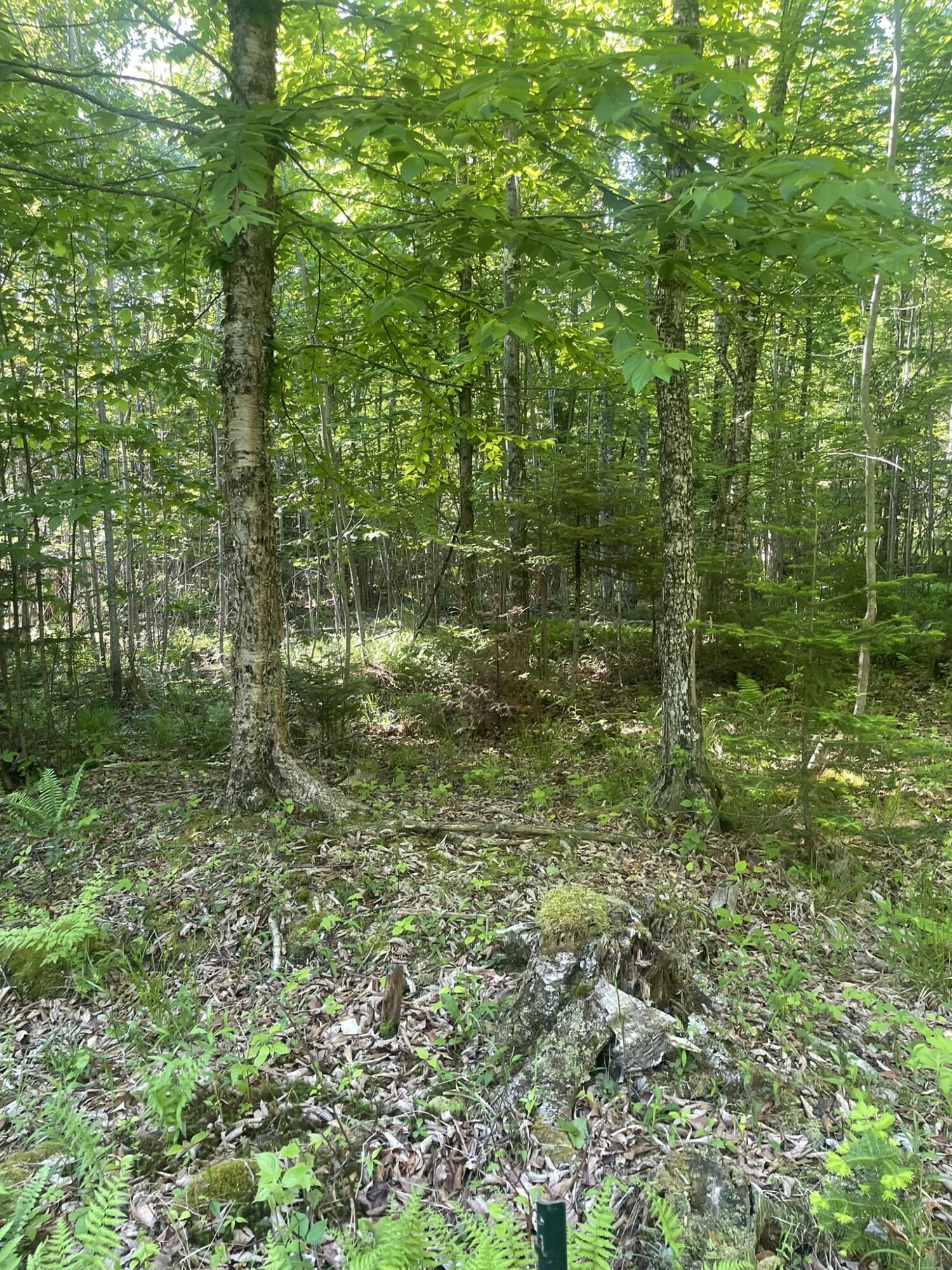 0 Macomber Road Readfield, ME 04355 - Photo 57 of 61 IMG_5693