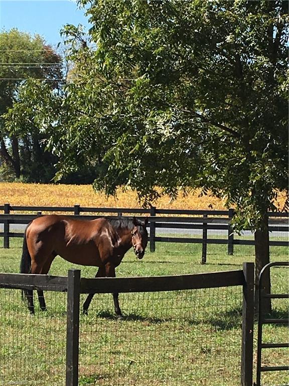 820 Pinebrook School Road Mocksville, NC 27028 - Photo 12 of 28