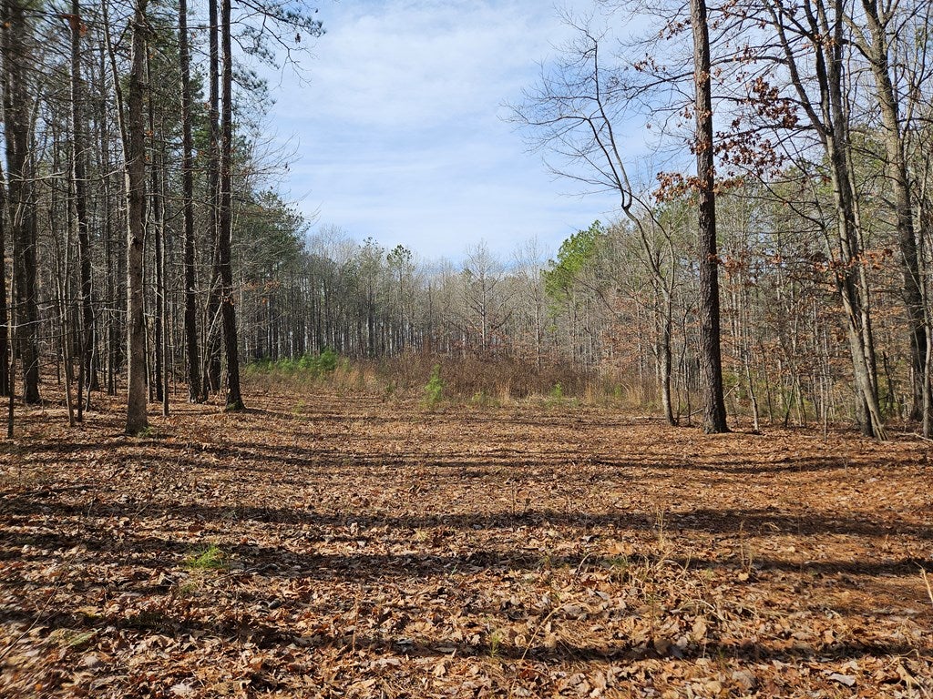 632 Scotts Bottom Road, Unit 12 Dillwyn, VA 23936 - Photo 3 of 8 Gallery Image 3