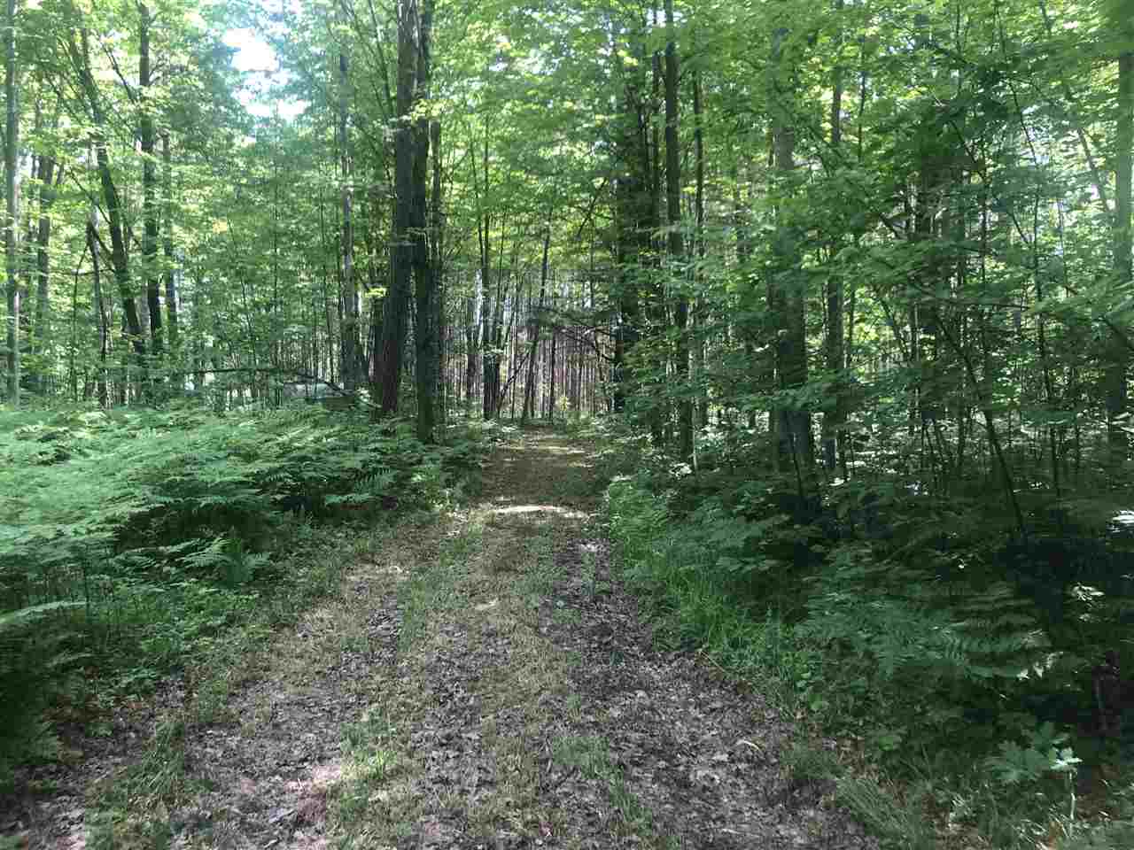 2600 Shaffer Road Beaverton, MI 48612 - Photo 23 of 39