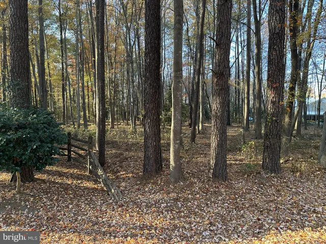 a view of backyard with green space