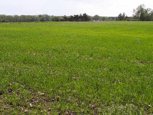 1 Lot Philhower Road Beloit, WI 53511 - Photo 1 of 1 a view of a field with a lake