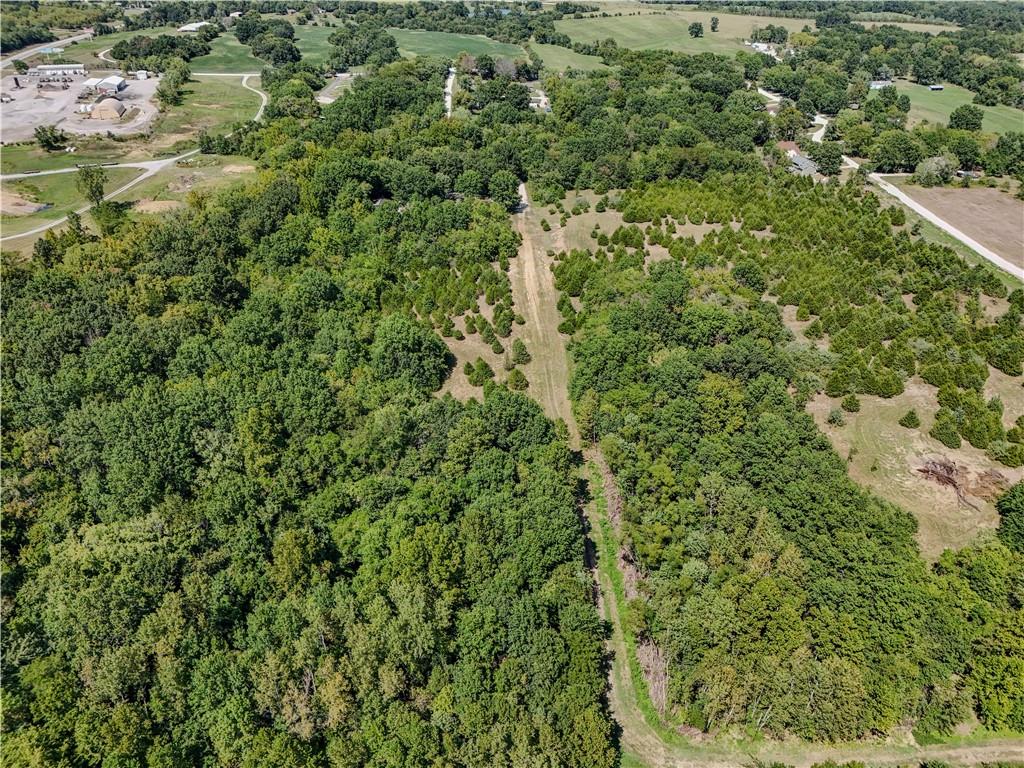 Lot 44 Northeast 51st Road Warrensburg, MO 64093 - Photo 12 of 23