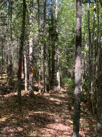 $179,000 | X Bechard Lane, Perry, ME 04667