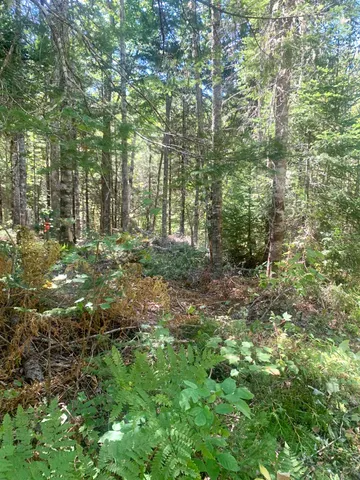 $179,000 | X Bechard Lane, Perry, ME 04667