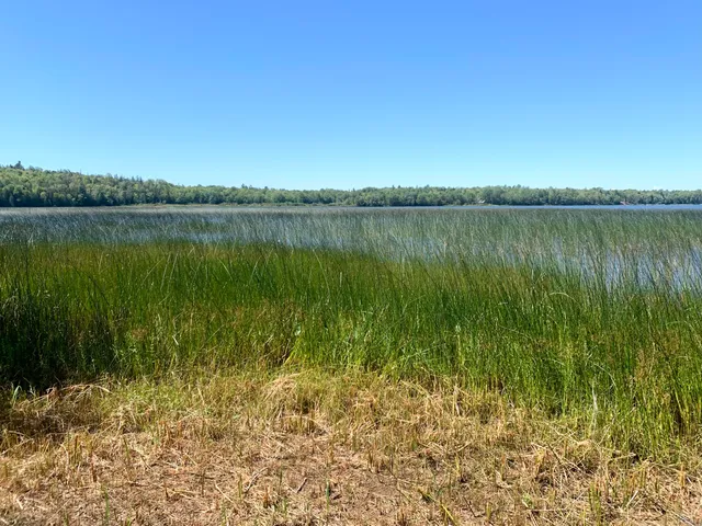 $179,000 | X Bechard Lane, Perry, ME 04667