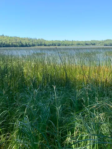 $179,000 | X Bechard Lane, Perry, ME 04667