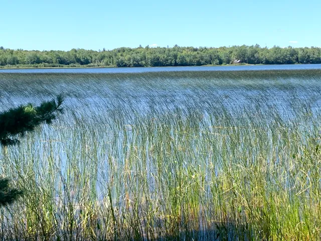 $179,000 | X Bechard Lane, Perry, ME 04667