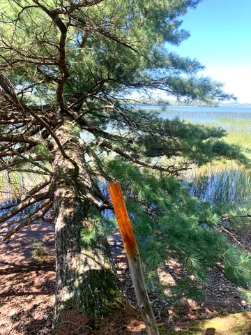 $179,000 | X Bechard Lane, Perry, ME 04667