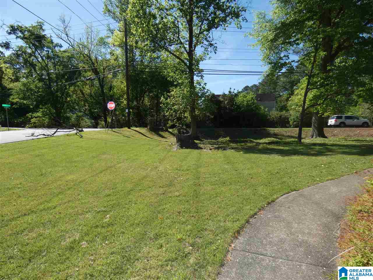 3405 Loch Ridge Trail Hoover, AL 35216 - Photo 16 of 19