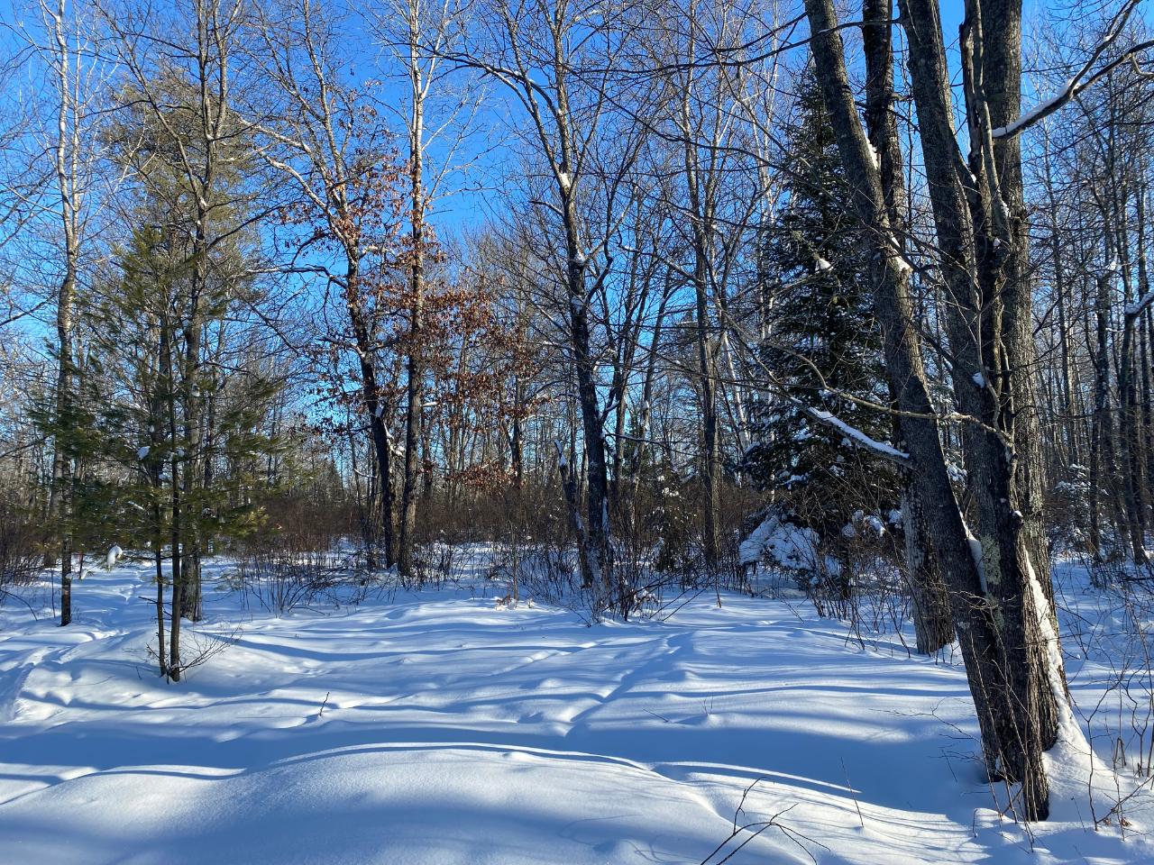 On River Road, Unit LOT 1 Eagle River, WI 54521 - Photo 6 of 8 Gallery Image 6