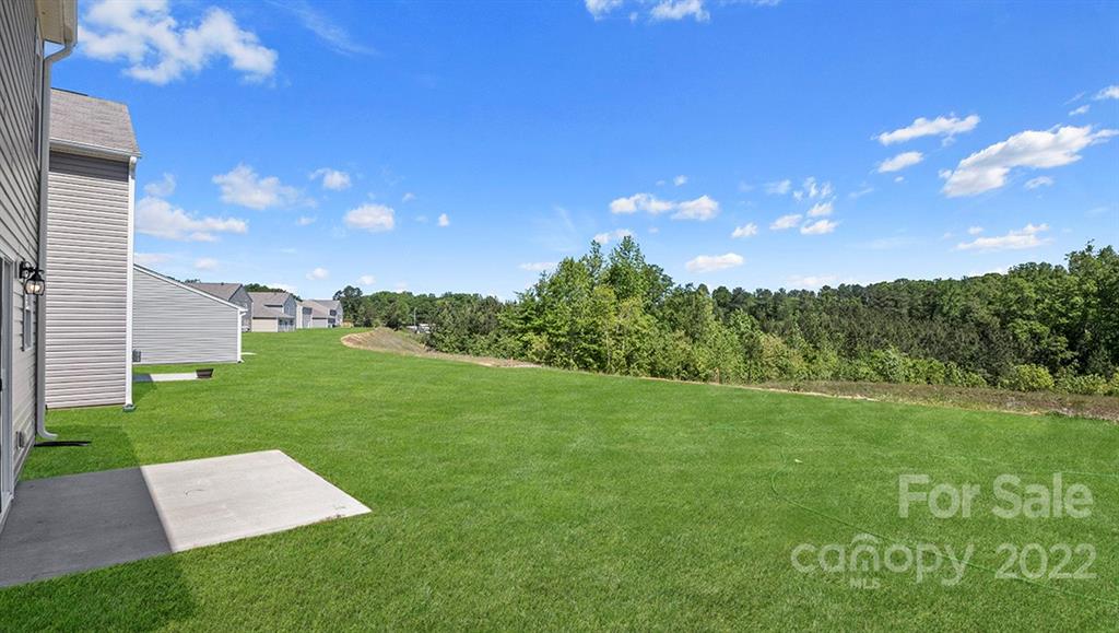 352 Oak Br Road, Unit 36 Arden, NC 28704 - Photo 9 of 25 Gallery Image 9