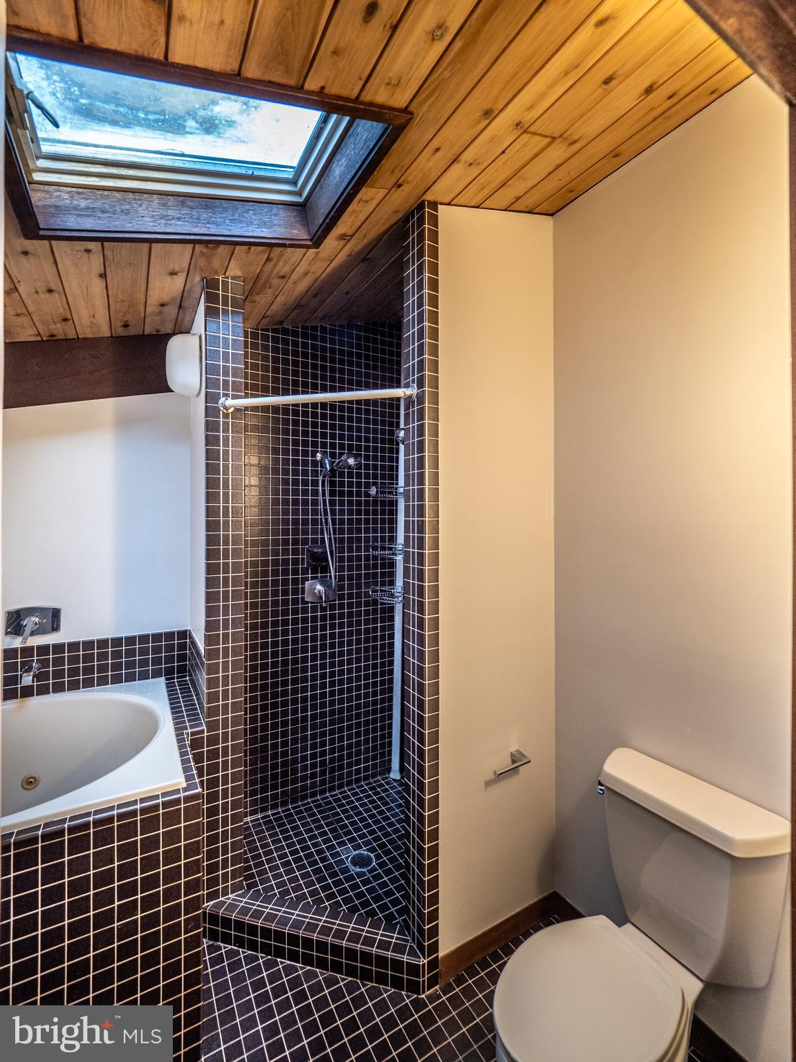 14805 Mockingbird Drive Darnestown, MD 20874 - Photo 21 of 35 a bathroom with a toilet and a shower