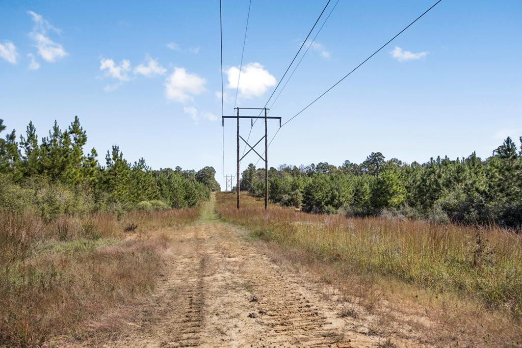 3183 Applewhite Road McCall Creek, MS 39647 - Photo 1 of 25 Main View