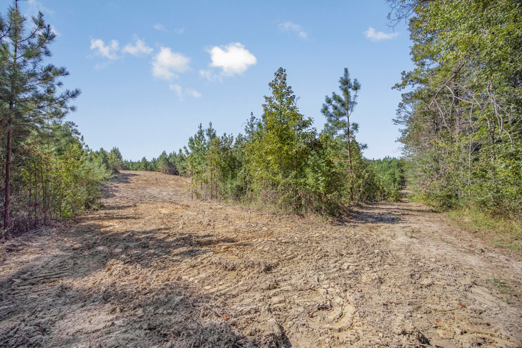 3183 Applewhite Road McCall Creek, MS 39647 - Photo 11 of 25 Photo 11