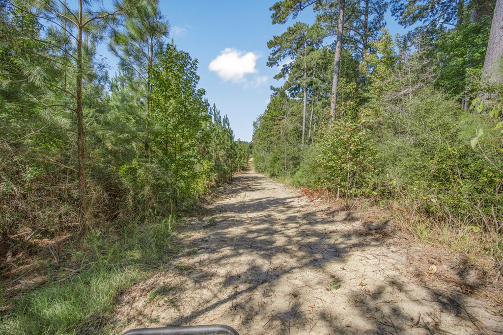 3183 Applewhite Road McCall Creek, MS 39647 - Photo 12 of 25 Photo 12