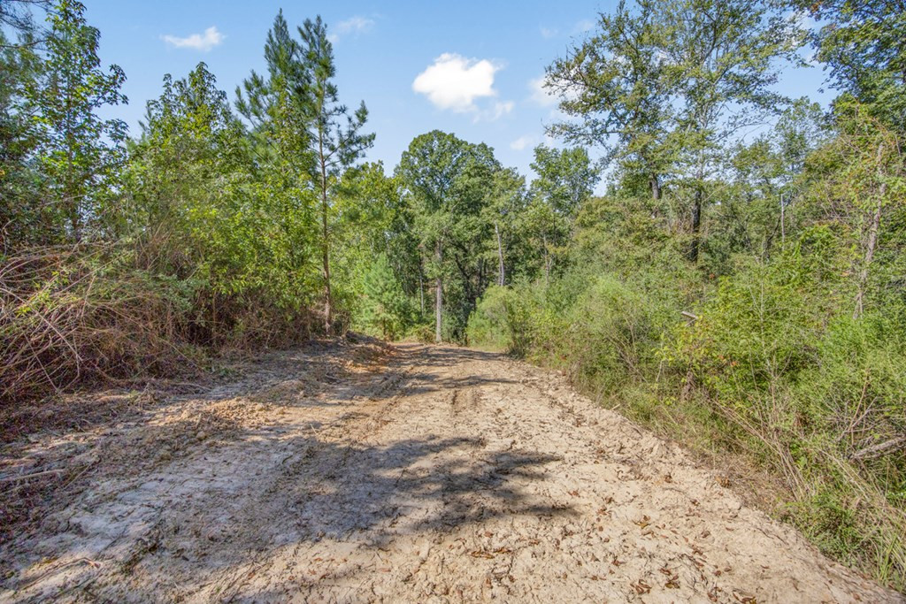 3183 Applewhite Road McCall Creek, MS 39647 - Photo 14 of 25 Photo 14
