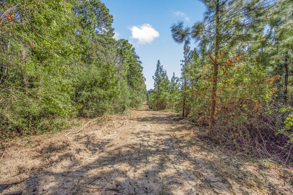 3183 Applewhite Road McCall Creek, MS 39647 - Photo 15 of 25 Photo 15