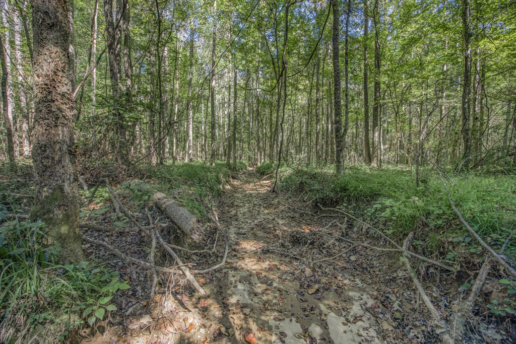 3183 Applewhite Road McCall Creek, MS 39647 - Photo 17 of 25 Photo 17
