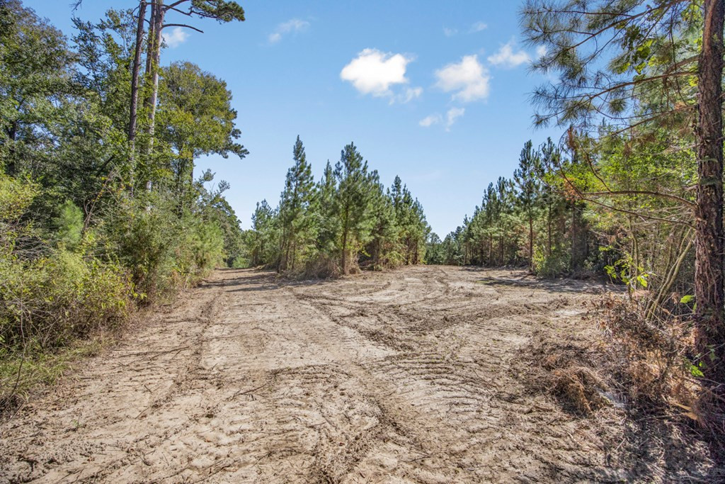 3183 Applewhite Road McCall Creek, MS 39647 - Photo 18 of 25 Photo 18