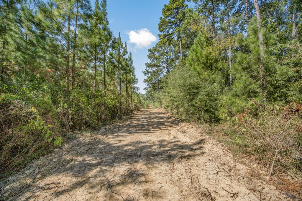 3183 Applewhite Road McCall Creek, MS 39647 - Photo 19 of 25 Photo 19