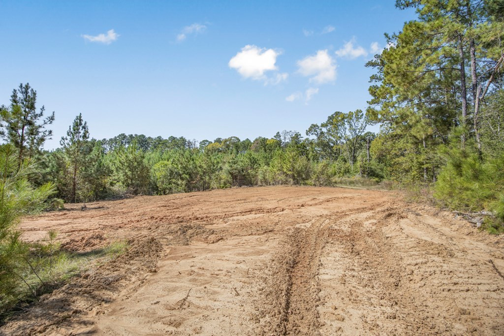 3183 Applewhite Road McCall Creek, MS 39647 - Photo 20 of 25 Photo 20