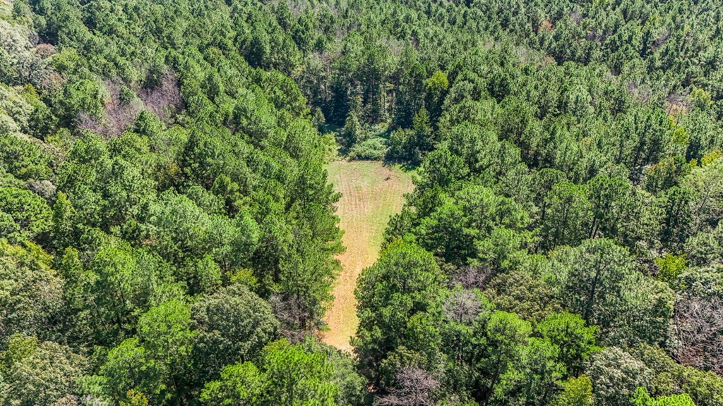 3183 Applewhite Road McCall Creek, MS 39647 - Photo 21 of 25 Photo 21