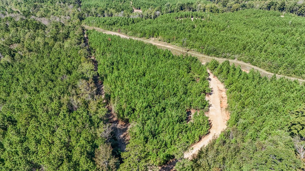 3183 Applewhite Road McCall Creek, MS 39647 - Photo 22 of 25 Photo 22