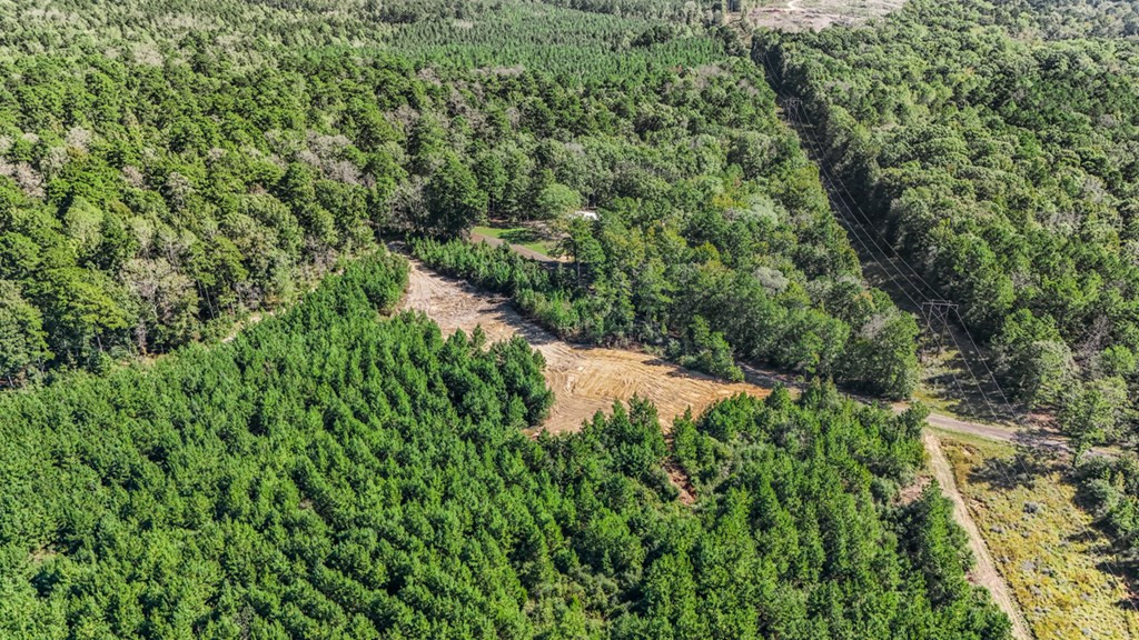 3183 Applewhite Road McCall Creek, MS 39647 - Photo 23 of 25 Photo 23