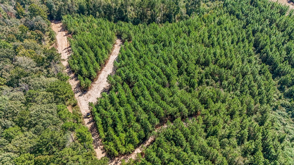 3183 Applewhite Road McCall Creek, MS 39647 - Photo 25 of 25 Photo 25