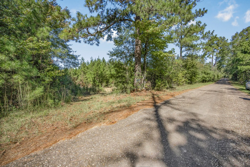 3183 Applewhite Road McCall Creek, MS 39647 - Photo 4 of 25 Photo 4
