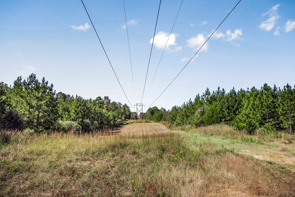 3183 Applewhite Road McCall Creek, MS 39647 - Photo 5 of 25 Photo 5
