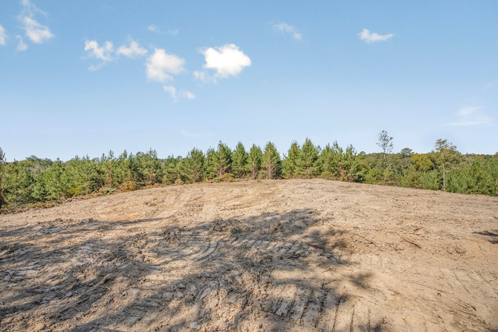 3183 Applewhite Road McCall Creek, MS 39647 - Photo 6 of 25 Photo 6