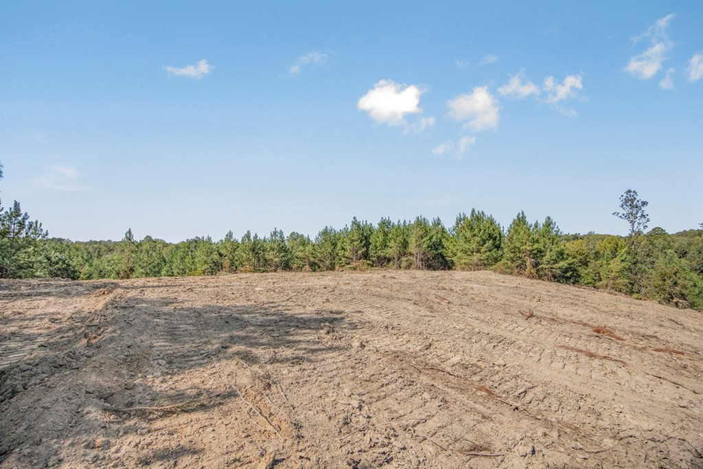 3183 Applewhite Road McCall Creek, MS 39647 - Photo 7 of 25 Photo 7