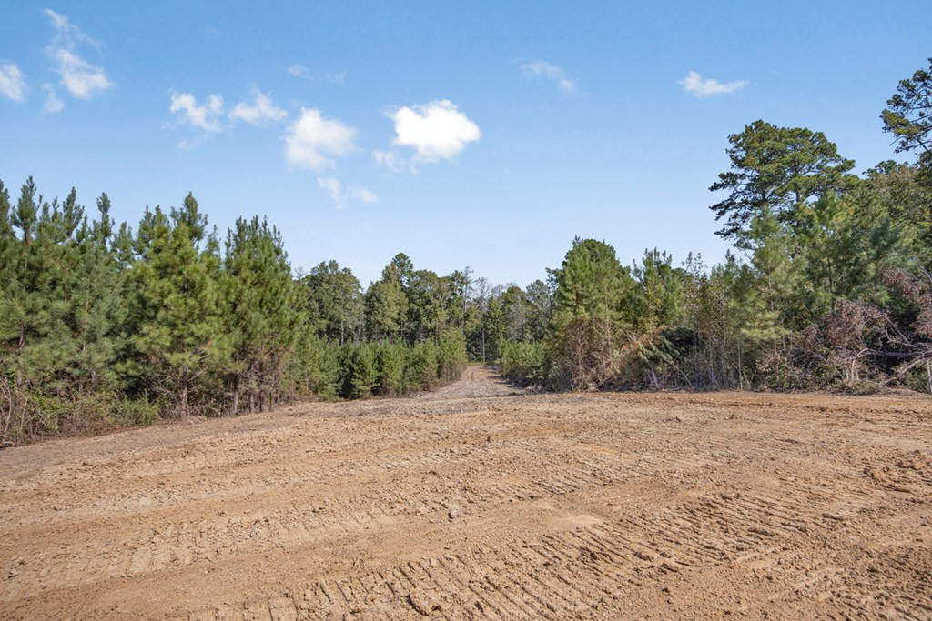 3183 Applewhite Road McCall Creek, MS 39647 - Photo 8 of 25 Photo 8