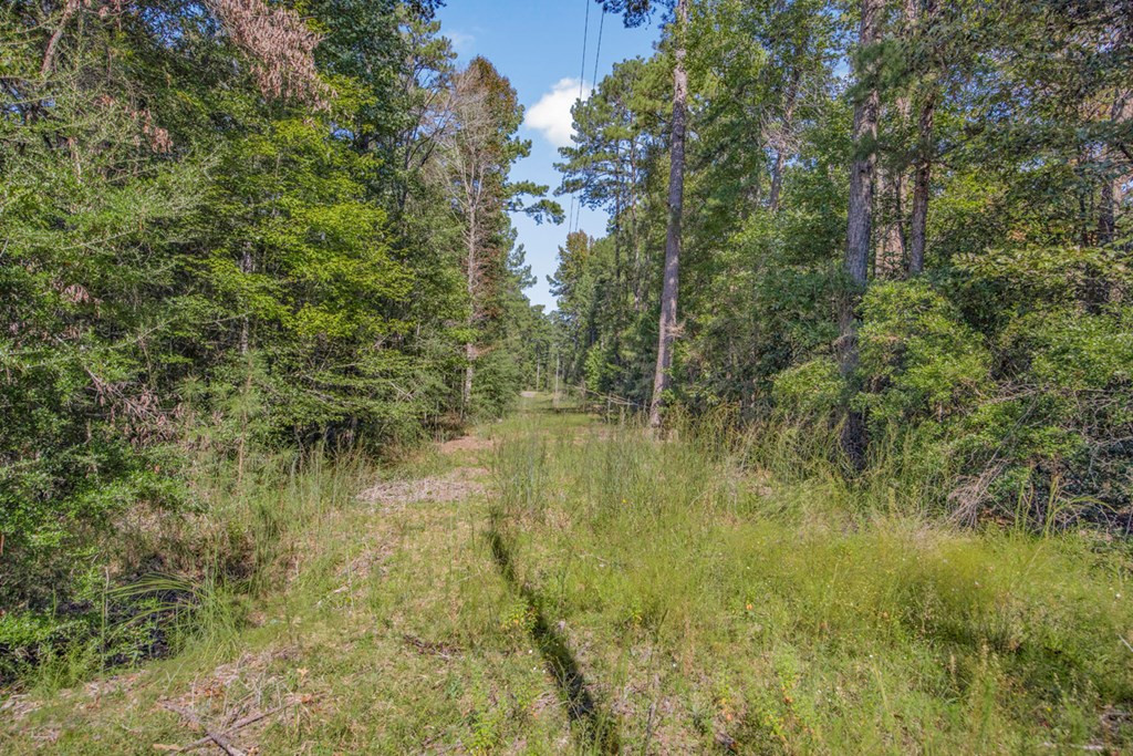 3183 Applewhite Road McCall Creek, MS 39647 - Photo 10 of 25 Photo 10