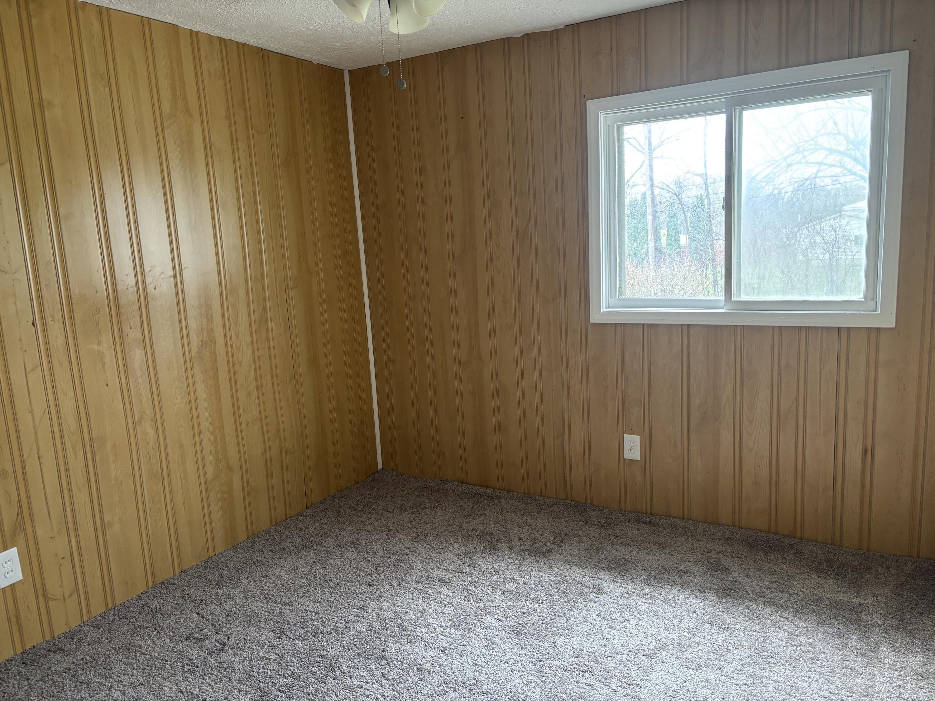 126 East Maple Street Muir, MI 48860 - Photo 23 of 28 IMG_8061
