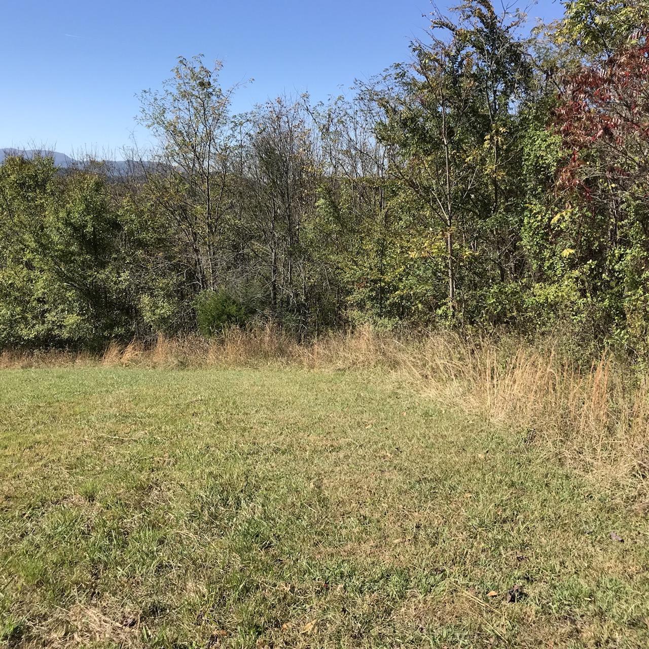 0 Mountain Mist Lane, Unit 5 Del Rio, TN 37727 - Photo 4 of 11 9
