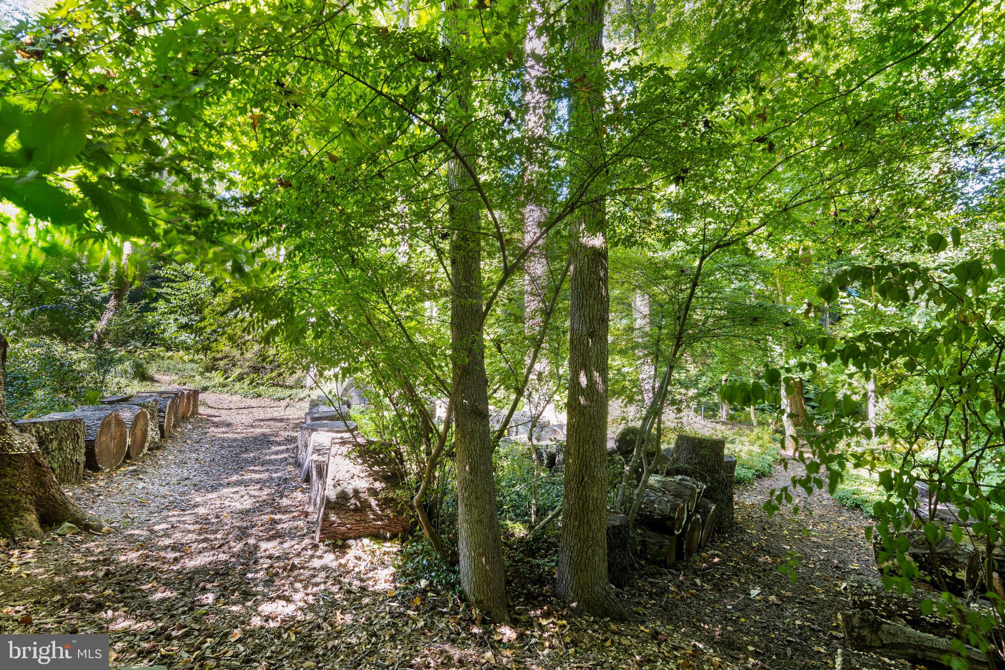 335 A Plush Mill Road Wallingford, PA 19086 - Photo 102 of 108