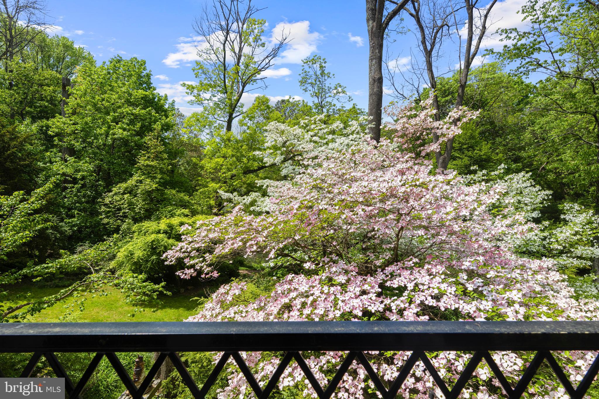 335 A Plush Mill Road Wallingford, PA 19086 - Photo 97 of 108