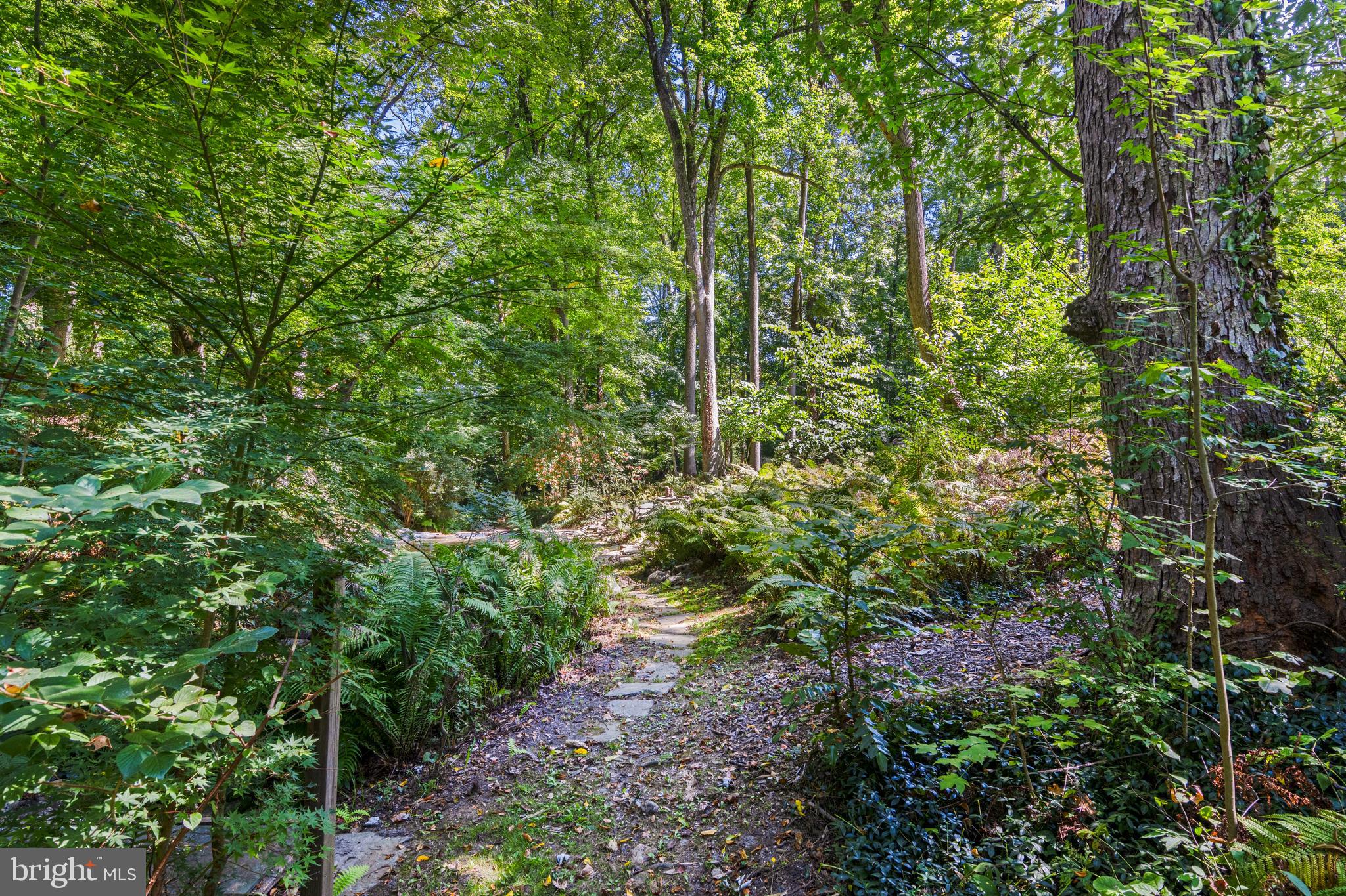 335 A Plush Mill Road Wallingford, PA 19086 - Photo 100 of 108